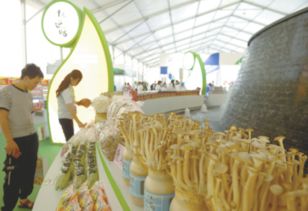 規(guī)模大、檔次高、印象深 打造邢臺農(nóng)產(chǎn)品新形象的“正餐服務(wù)”之道