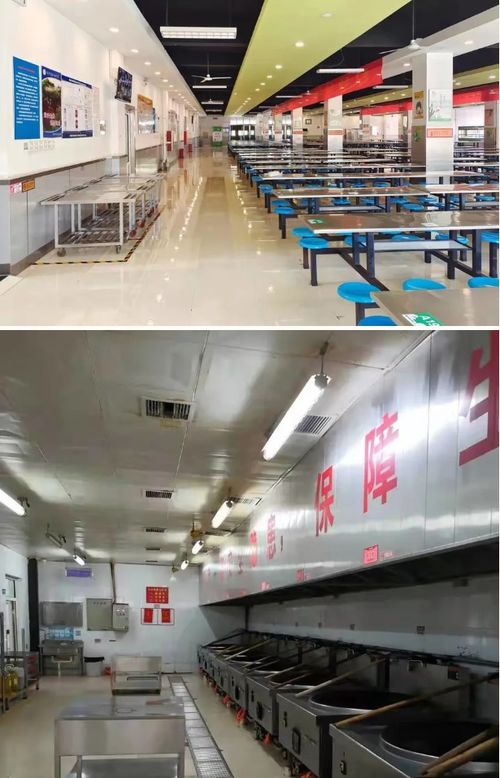 河北邢臺市創(chuàng)建省級校園食品安全標(biāo)準(zhǔn)食堂44家，助推正餐服務(wù)再上臺階