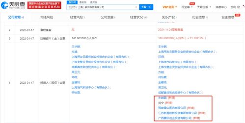 信息技術(shù)咨詢(xún)服務(wù)的價(jià)值與未來(lái)發(fā)展